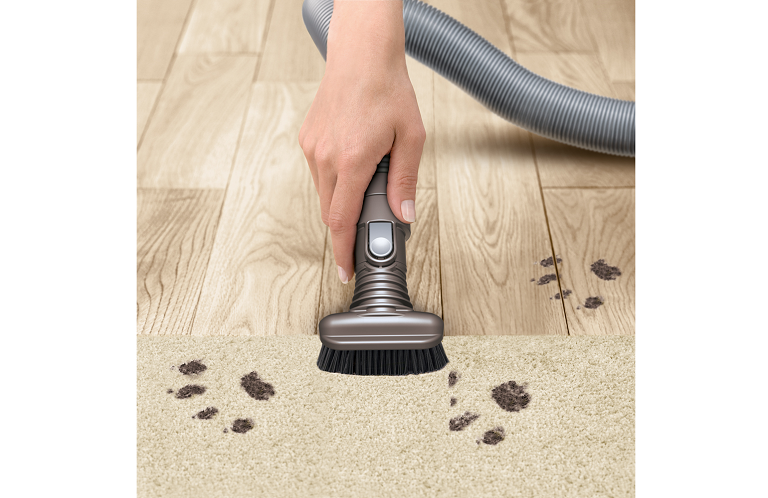 Dyson Cinetic image 4.